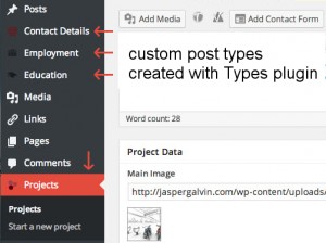 Custom posts types