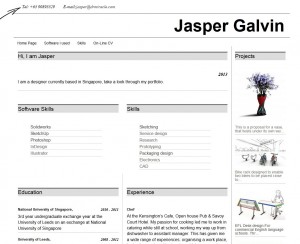 an on-line cv made with Toolset