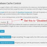 disable_object_cache.jpg
