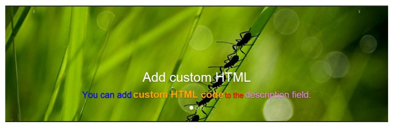 Slider cell with custom HTML