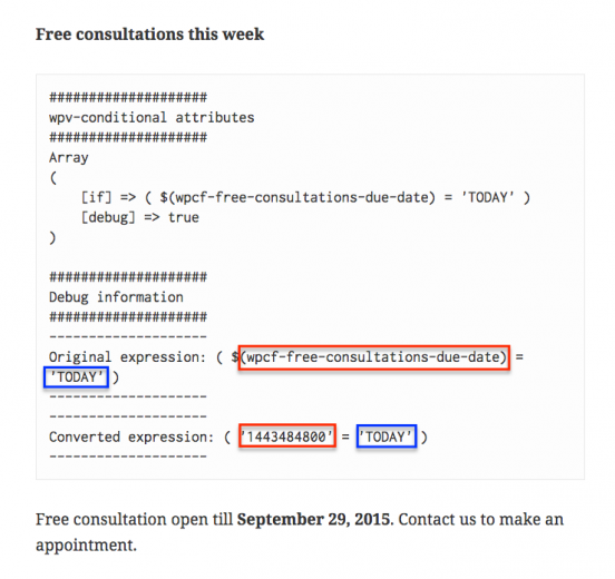 The Consultant page’s front-end with debug output enabled and the TODAY function called incorrectly