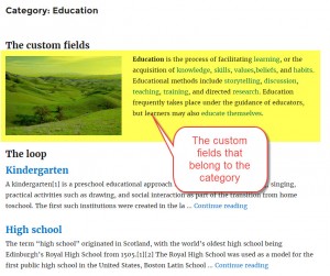 Category page showing taxonomy meta and the posts