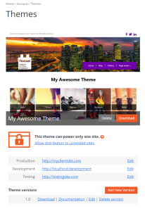 Registered theme listed on the Themes page