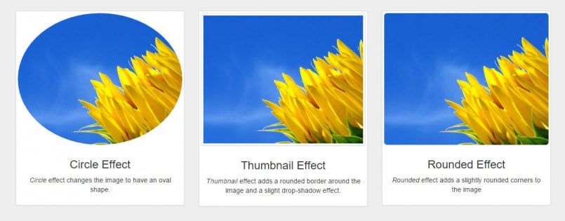 Three Bootstrap Image Effects In The Layouts Image box Cell