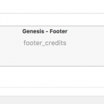 2 - Genesis Footer Integration.png