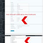 SOME-META-FIELDS-ARE-ACCESSIBLE-OTHERS-ARE-NOT.jpg