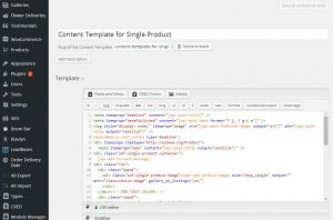 The content template for single product pages