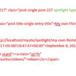 html code for custom post Spotlight.png