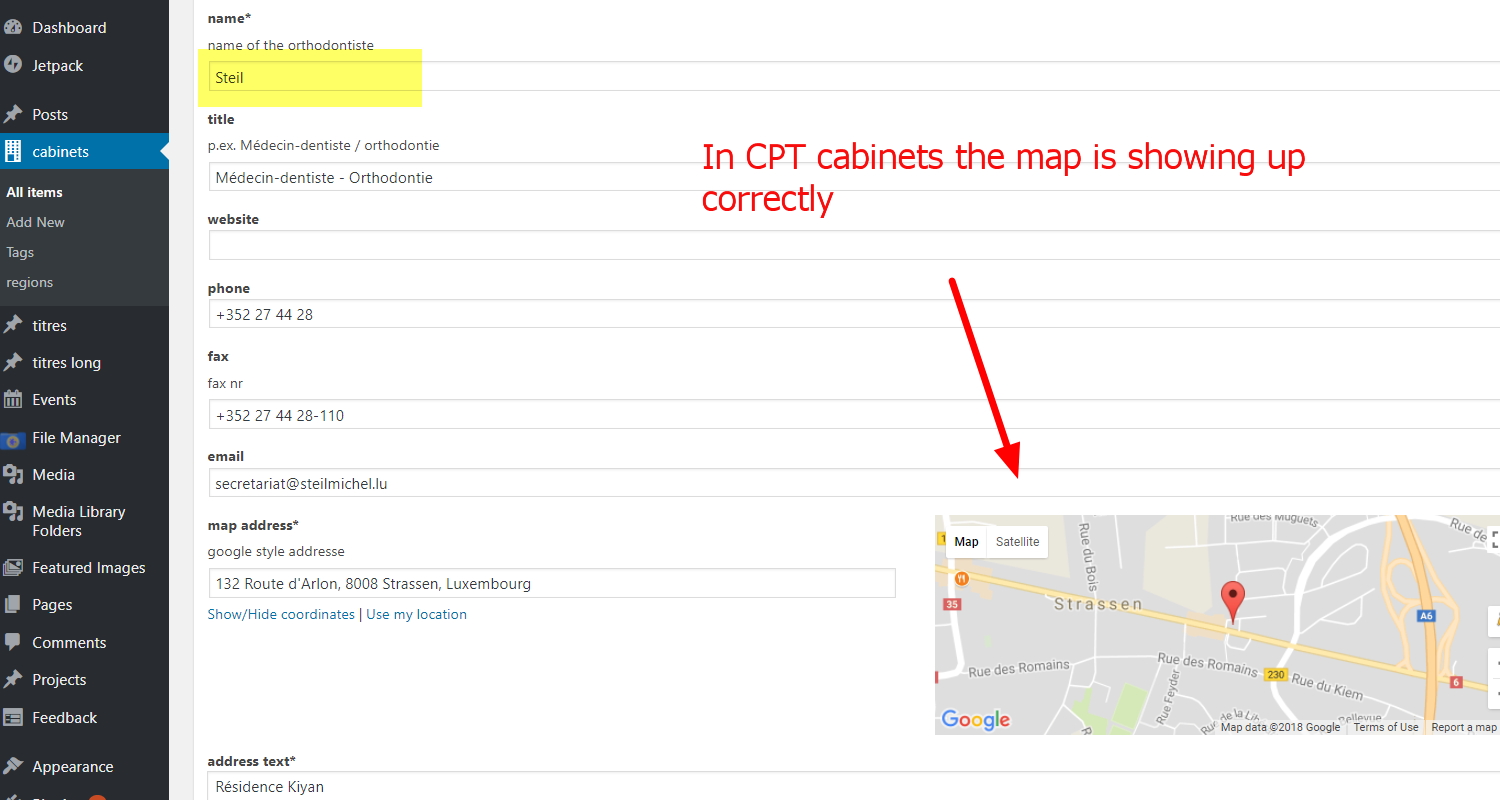 maps & markers not showing up correctly in Search View & in single