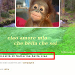 Screenshot-2018-2-17 Salterina bella ciao – Riplove.png