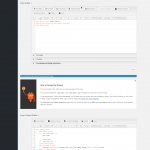 Edit View ‹ TIG Development — WordPress.png