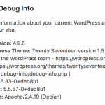 Debug_Info_‹_Earthclick_net_—_WordPress.png