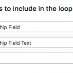 View Loop Fields.png