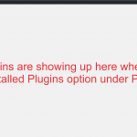 Typs plugin causing conflict.png