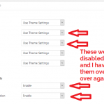 I-disable-theme-options-over-and-over-again.png