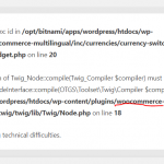 error twig toolset wpml.PNG