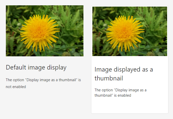 Default vs. thumbnail image display