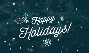Happy Holidays And Toolset Support This Week Toolset
