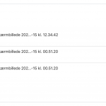 Skærmbillede 2020-02-15 kl. 13.49.59.png