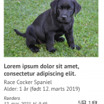 Skærmbillede 2020-02-25 kl. 11.31.24.png
