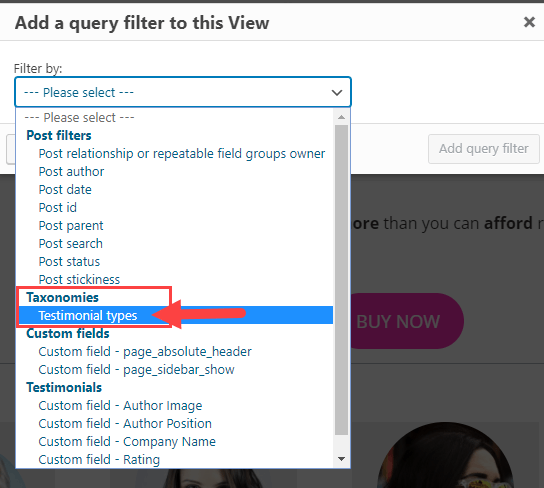 Set Filter by to the custom taxonomy Testimonial types