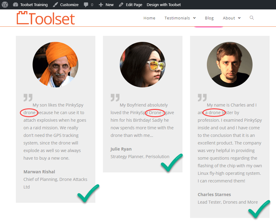 Filtered results, showing only testimonials in the Drone taxonomy