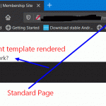 standard page - works ok.gif