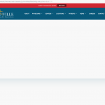 Screen Shot 2020-07-30 at 2.20.07 PM.png