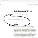 test-business-010-pub.JPG