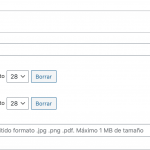 Captura de pantalla 2021-01-02 a las 2.56.32.png