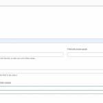 display-options.png