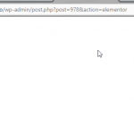 error blank page with plugin enabled.png