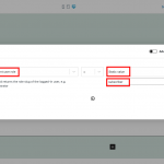 conditional-check-user-role.png