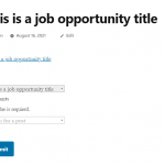 This-is-a-job-opportunity-title-–-My-Blog.png