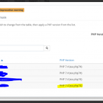 PHP version.PNG
