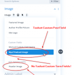 2021-09-27 11_28_15-Theme Builder ‹ Home Discipleship Network — WordPress.png