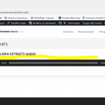 audio.PNG