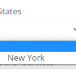 state drop down shows only new york.png