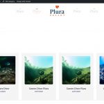product-category-archive-page.jpg