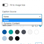 C2O caption.png