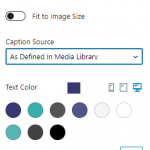 NANO caption - media library.png