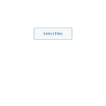 IMG_5517.PNG