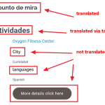 error transaltion.png