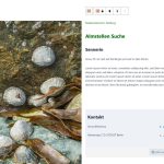 Image 04 - Template.jpg