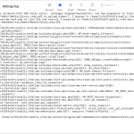 debug log.png
