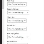 theme settings toolset.JPG