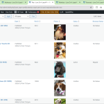Screenshot 2024-12-12 081703.png