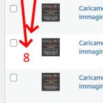 pdts.jpg