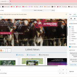 Edit WordPress Archives Block “News Archive” ‹ Ayrshire New Zealand — WordPress and 10 more pages - Personal - Microsoft​ Edge 21_04_2025 8_14_42 am.png