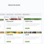 Screenshot 2025-10-27 at 11.19.48 AM.jpg